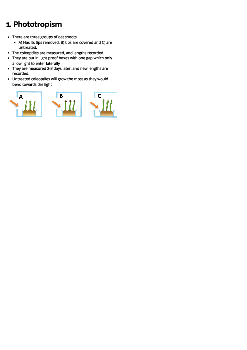 Biology (0610) Phototropism Revision Note