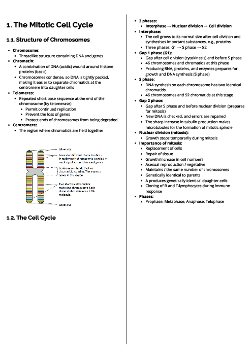 Biology (9700) The Mitotic Cell Cycle Revision Note