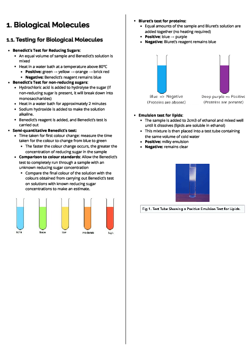 Biology (9700) Biological Molecules Revision Note