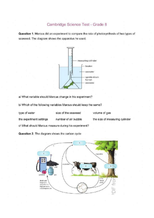 Cambridge Grade 8 Science Past Papers with Answers-Free PDF