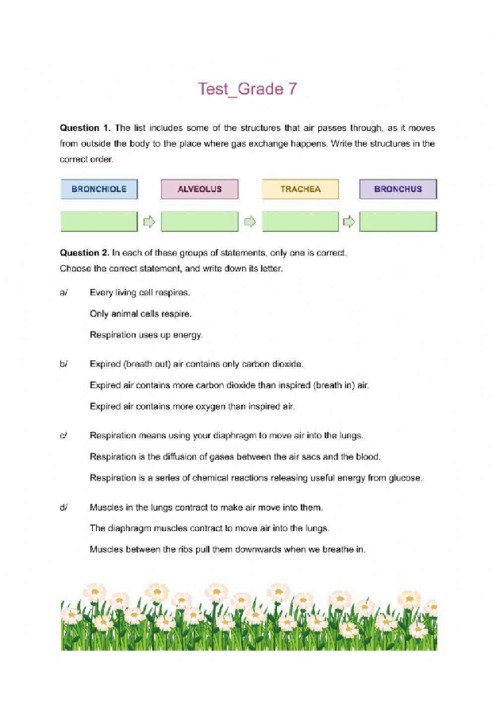 Cambridge Grade 7 Science Past Papers with Answers Free PDF