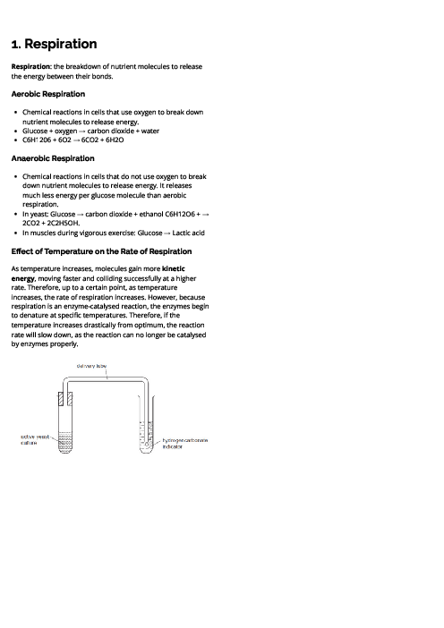 Biology (0610) Respiration Revision Note