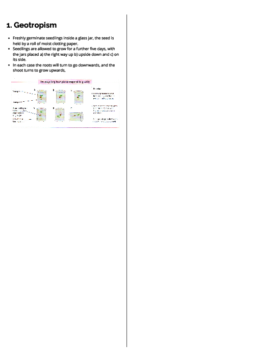 Biology (0610) Geotropism Revision Note
