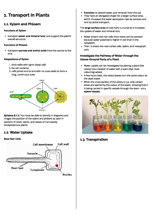 Biology (0610) Transport in Plants Revision Note