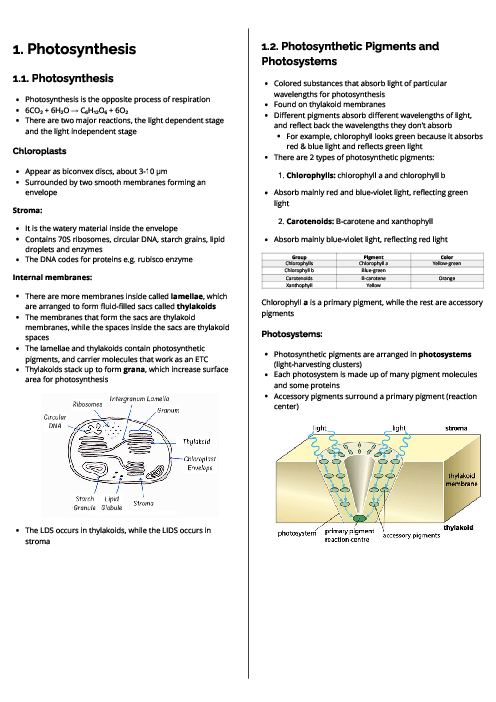 Biology (9700) Photosynthesis Revision Note