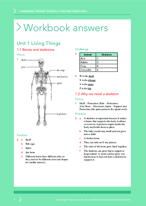 Science year 4 Workbook Answers | Free PDF