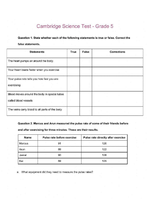 Science Worksheet for Grade 5 - Full Practice Paper