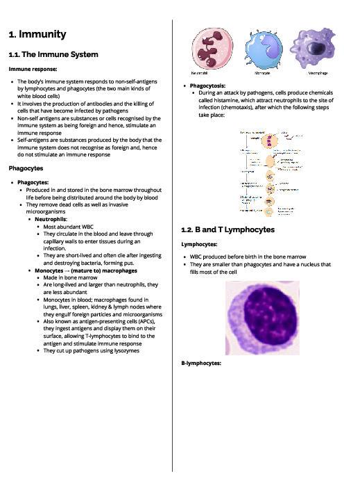 Biology (9700) Immunity Revision Note