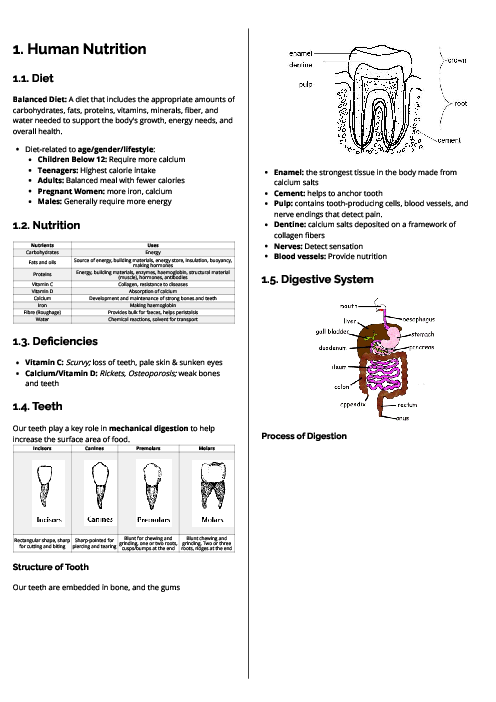Biology (0610) Human Nutrition Revision Note