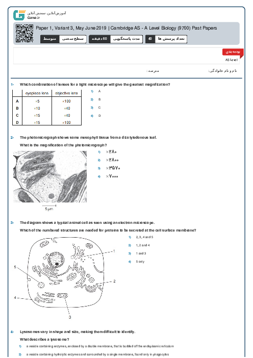 9700/13 Biology May Jun 2019 Online Test | Cambridge AS and A Level MCQ