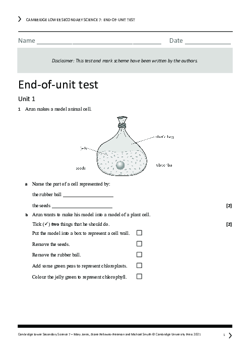 Year 7 Science End of Unit 1 Test - Answers Included