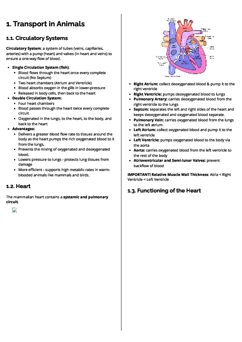 Biology (0610) Transport in Animals Revision Note