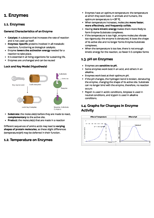 Biology (0610) Enzymes Revision Note