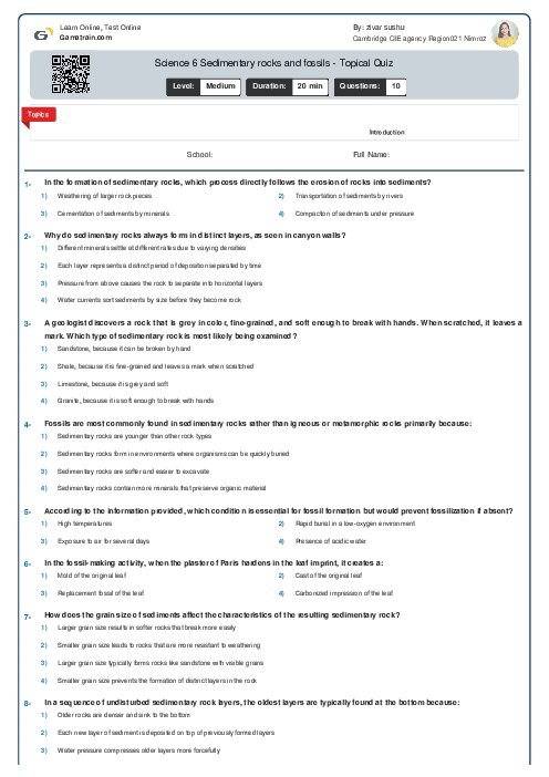 Science 6 Sedimentary rocks and fossils - Topical Quiz