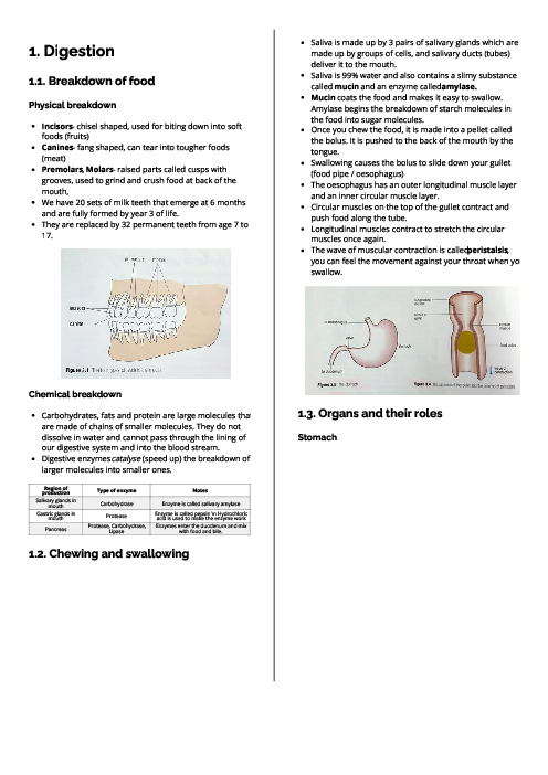 Checkpoint Science (Biology) | Digestive System Revision Note