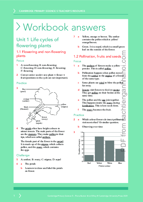 Science year 5 Workbook Answers | Free PDF