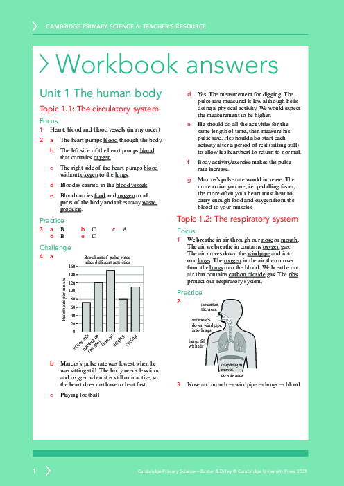 Science year 6 Workbook Answers | Free PDF