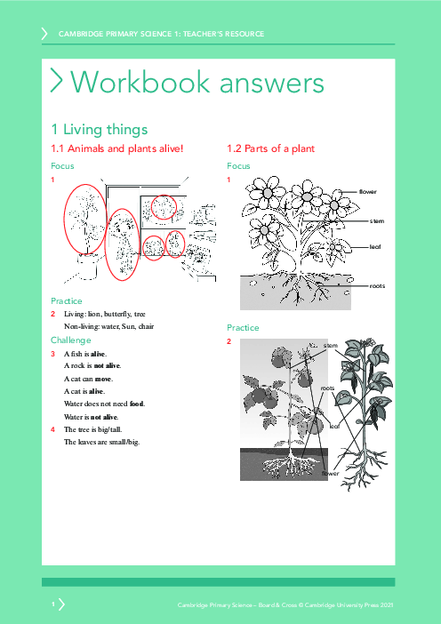 Science year 1 Workbook Answers | Free PDF