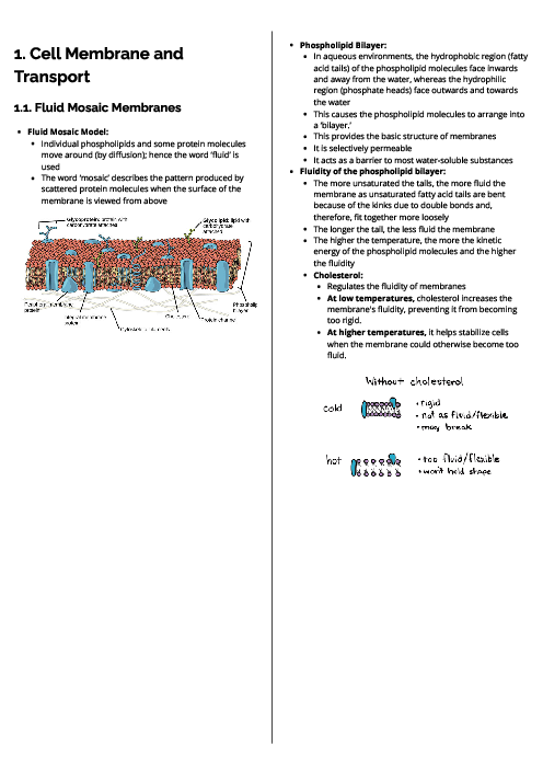Biology (9700) Cell Membrane and Transport Revision Note
