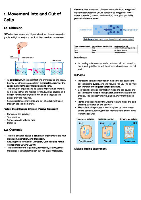 Biology (0610) Movement Into and Out of Cells Revision Note