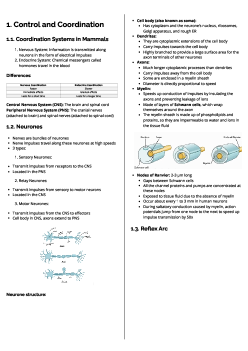Biology (9700) Control and Coordination Revision Note