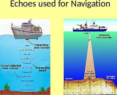 The Science of Sound: Waves, Speed, Echoes & Ultrasound Applications Explained- پیش نمایش