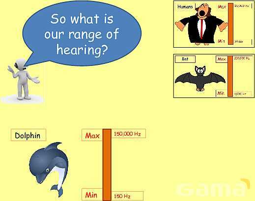 The Science of Sound: Waves, Speed, Echoes & Ultrasound Applications Explained- پیش نمایش