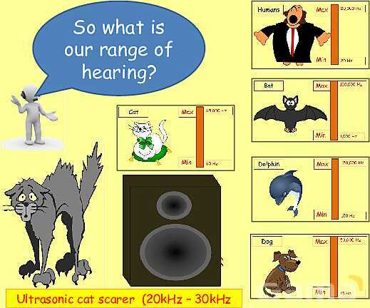 The Science of Sound: Waves, Speed, Echoes & Ultrasound Applications Explained- پیش نمایش