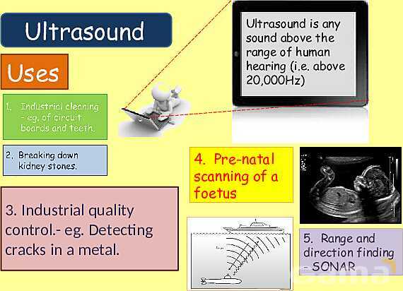 The Science of Sound: Waves, Speed, Echoes & Ultrasound Applications Explained- پیش نمایش