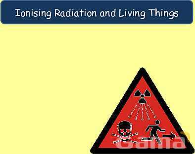 Radioactive Decay & Half-Life Explained: Physics Concepts, Equations & Real-World Applications- پیش نمایش