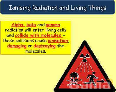 Radioactive Decay & Half-Life Explained: Physics Concepts, Equations & Real-World Applications- پیش نمایش