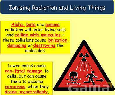 Radioactive Decay & Half-Life Explained: Physics Concepts, Equations & Real-World Applications- پیش نمایش