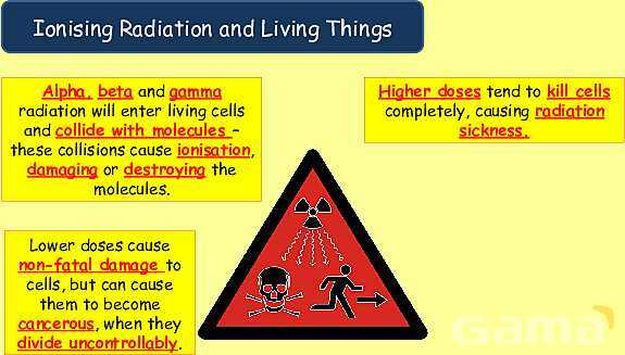 Radioactive Decay & Half-Life Explained: Physics Concepts, Equations & Real-World Applications- پیش نمایش