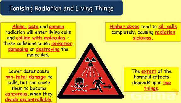 Radioactive Decay & Half-Life Explained: Physics Concepts, Equations & Real-World Applications- پیش نمایش