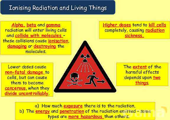 Radioactive Decay & Half-Life Explained: Physics Concepts, Equations & Real-World Applications- پیش نمایش