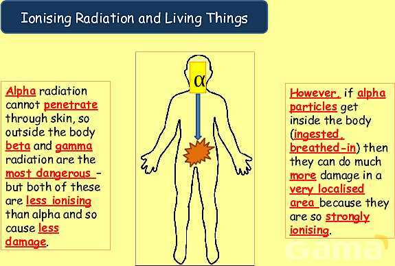 Radioactive Decay & Half-Life Explained: Physics Concepts, Equations & Real-World Applications- پیش نمایش