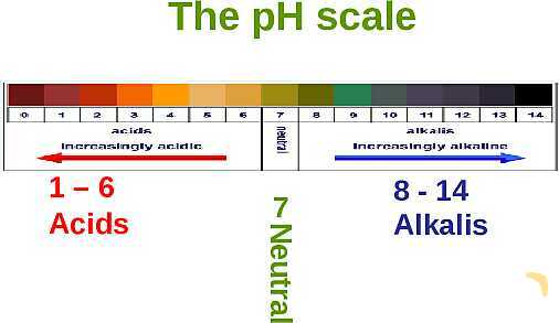 Free PowerPoint on Acids and Alkalis | pH Scale, Neutralization & Everyday Applications- پیش نمایش