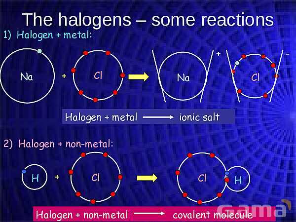 Group 17 Halogens: Properties and Chemical Behavior- پیش نمایش