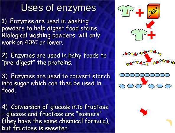 Rates of Reactions and Enzymes | Free Chemistry PowerPoint- پیش نمایش