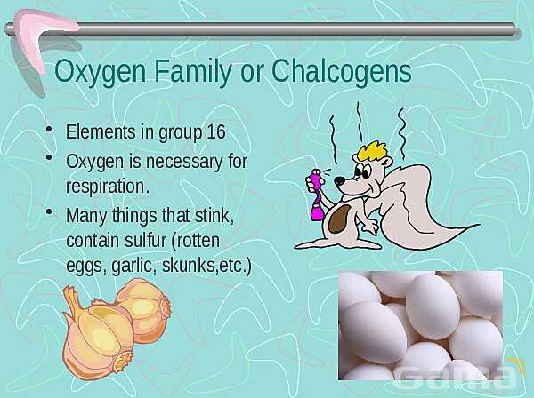 The Periodic Table Groups, Families, and Element Properties | Free Chemistry PowerPoint- پیش نمایش