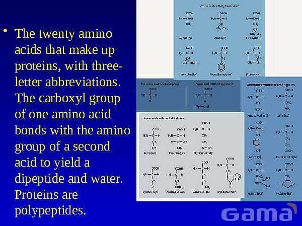 Organic Chemistry | Free Chemistry PowerPoint- پیش نمایش