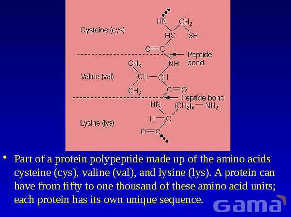 Organic Chemistry | Free Chemistry PowerPoint- پیش نمایش