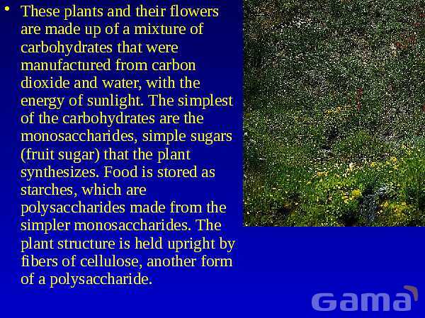 Organic Chemistry | Free Chemistry PowerPoint- پیش نمایش