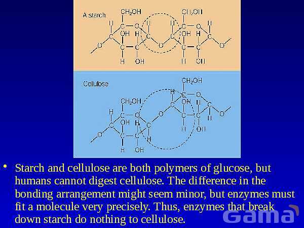 Organic Chemistry | Free Chemistry PowerPoint- پیش نمایش