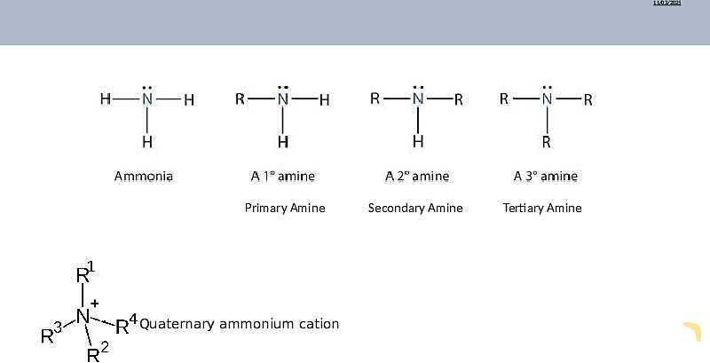 Comprehensive Guide to Amines | As & A Level Chemistry 9701 pptx- پیش نمایش