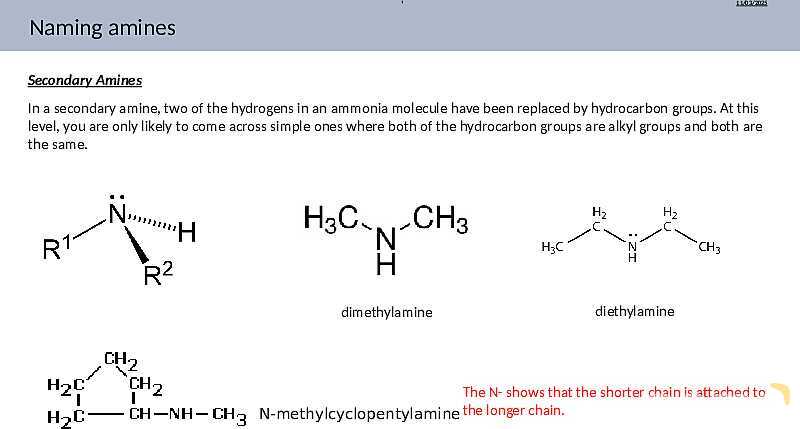 Comprehensive Guide to Amines | As & A Level Chemistry 9701 pptx- پیش نمایش