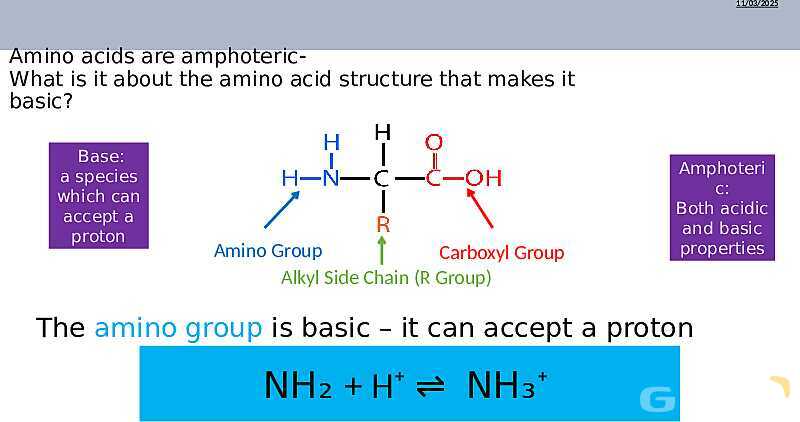 Understanding Amino Acids | As & A Level Chemistry 9701 pptx- پیش نمایش