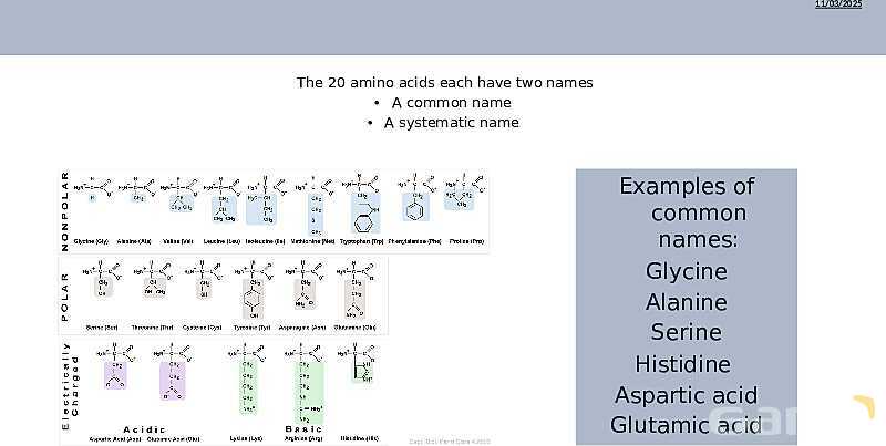 Understanding Amino Acids | As & A Level Chemistry 9701 pptx- پیش نمایش