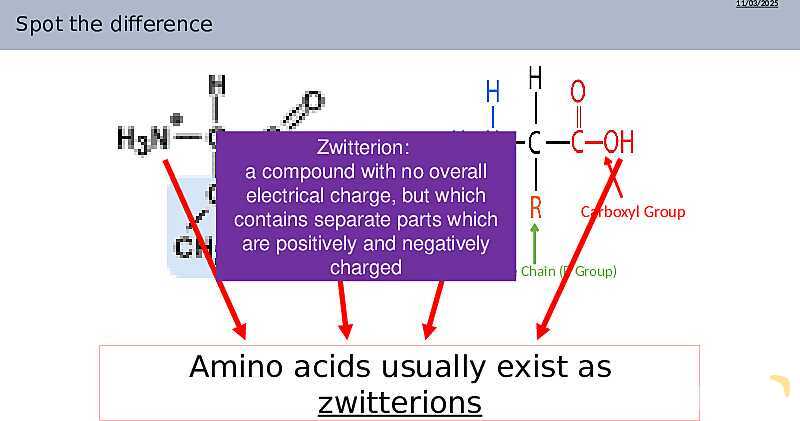 Understanding Amino Acids | As & A Level Chemistry 9701 pptx- پیش نمایش