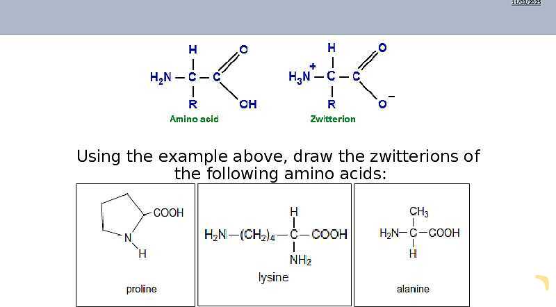 Understanding Amino Acids | As & A Level Chemistry 9701 pptx- پیش نمایش